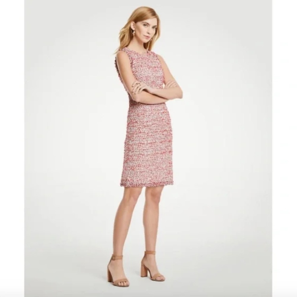 NWT Ann Taylor Textured Tweed Fringe Shift Dress size 6 - Picture 3 of 16